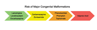 Risk fo Major congenital Malformations