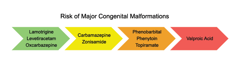 Risk fo Major congenital Malformations